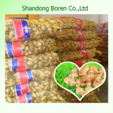 Supply 2015 High Quality New Crop Dried Ginger